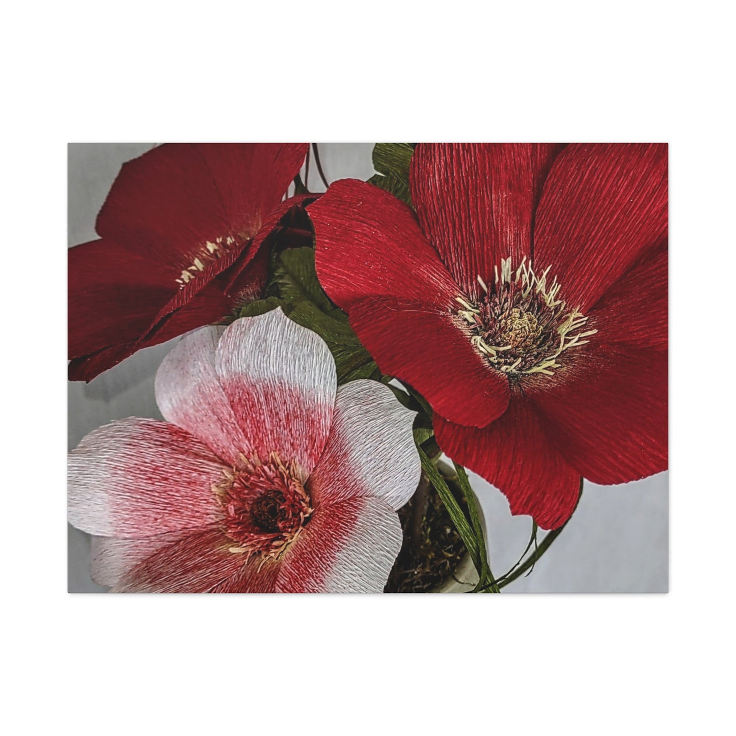 Canvas Print - Anemones in Red and Pink, Creativity at Its Best