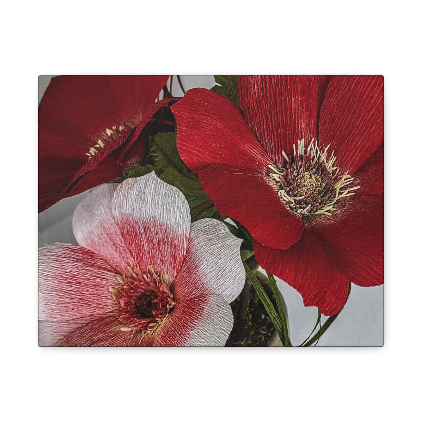 Canvas Print - Anemones in Red and Pink, Creativity at Its Best