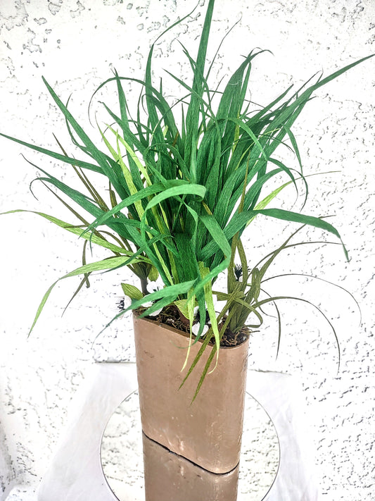 Spider plant w/Miniature white flowers