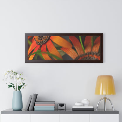 Poster Print - Mango Orange Black-Eyed Susans