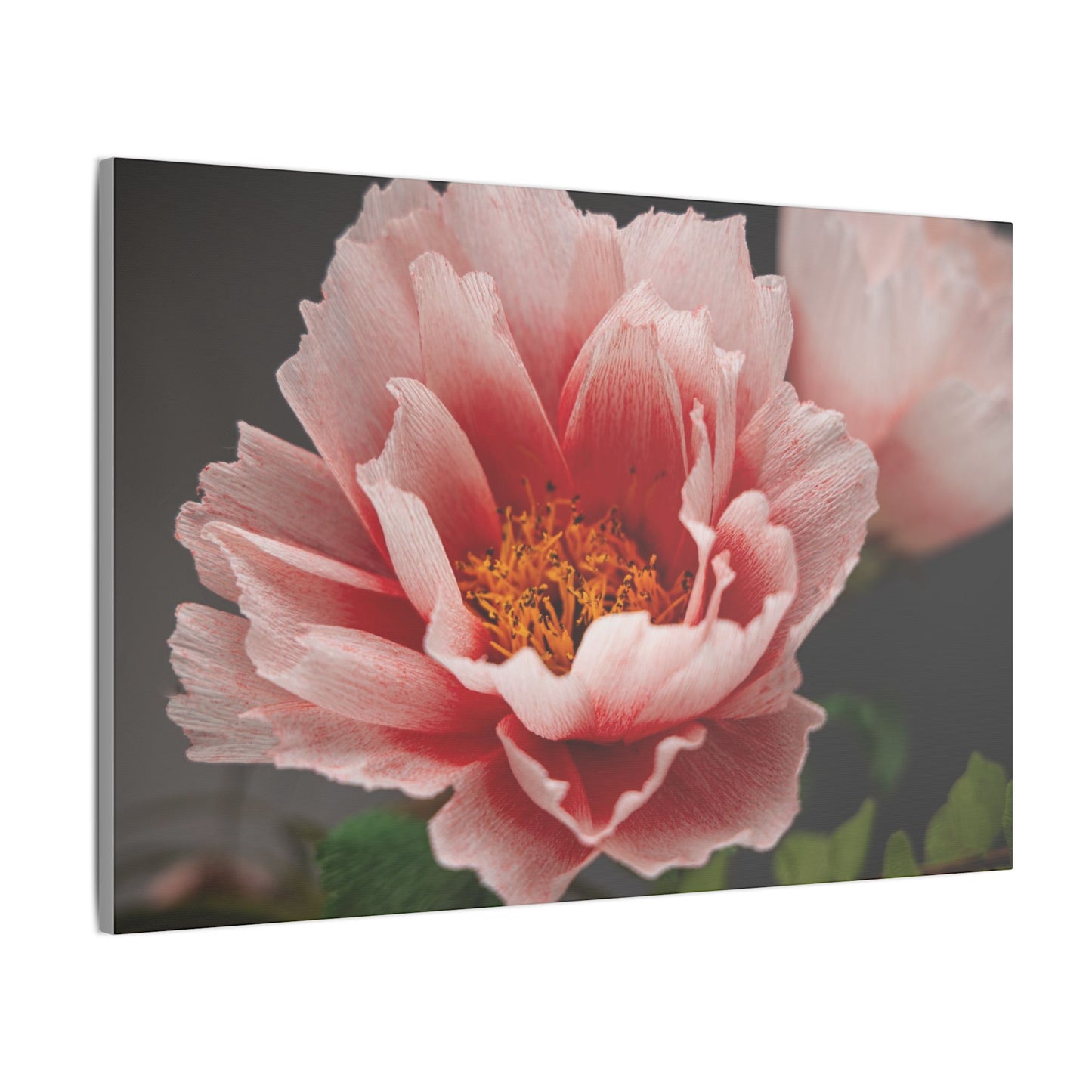 Canvas Print - Vibrant Pink Peonies