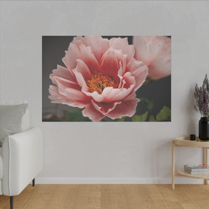 Canvas Print - Vibrant Pink Peonies