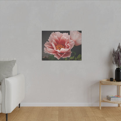 Canvas Print - Vibrant Pink Peonies