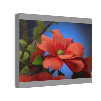 Canvas Art - Anemone in Dashing Red Colors, Handcrafted with Crepe Paper