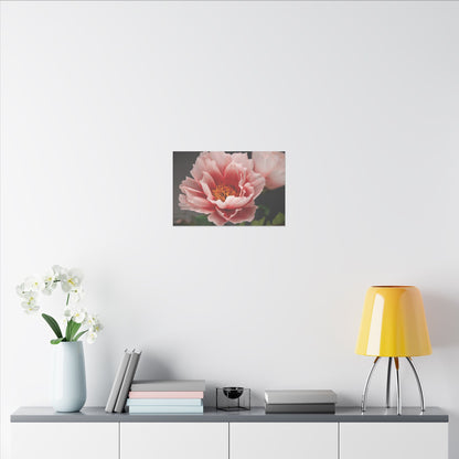 Canvas Print - Vibrant Pink Peonies