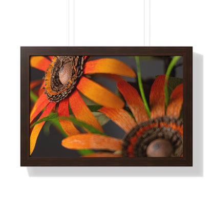 Poster Print - Mango Orange Black-Eyed Susans