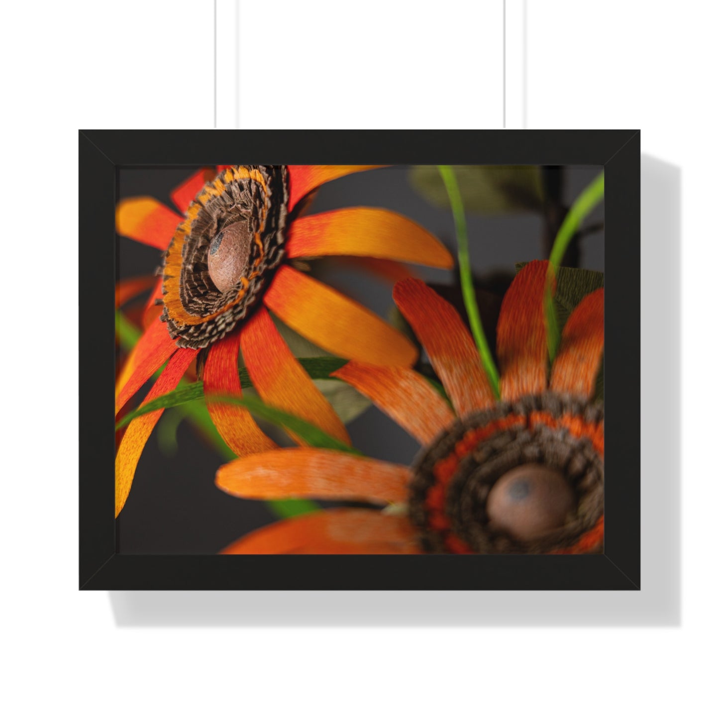 Poster Print - Mango Orange Black-Eyed Susans