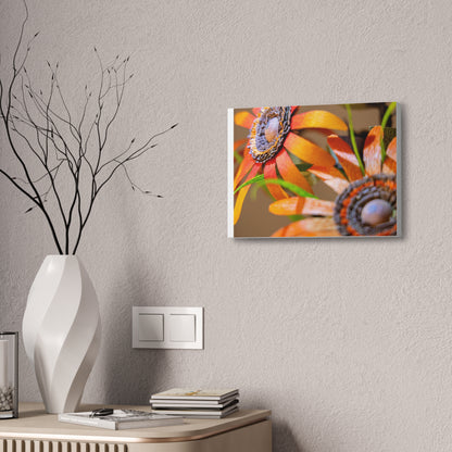 Canvas Stretched, Wall Art Orange Black Eyed Susan's Design