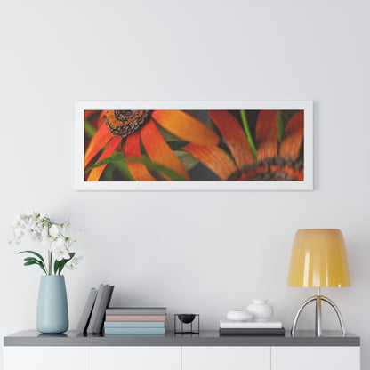 Poster Print - Mango Orange Black-Eyed Susans