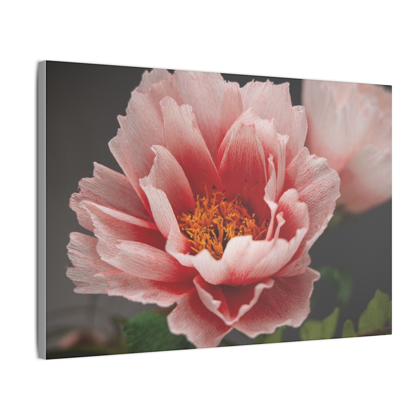 Canvas Print - Vibrant Pink Peonies