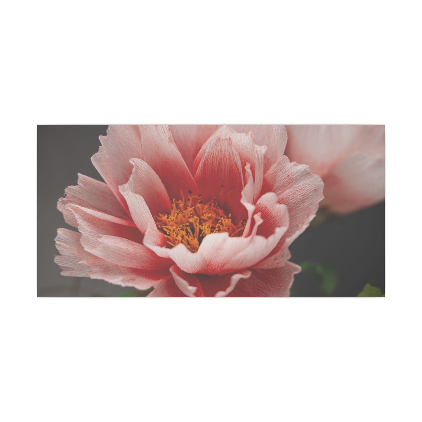 Canvas Print - Vibrant Pink Peonies