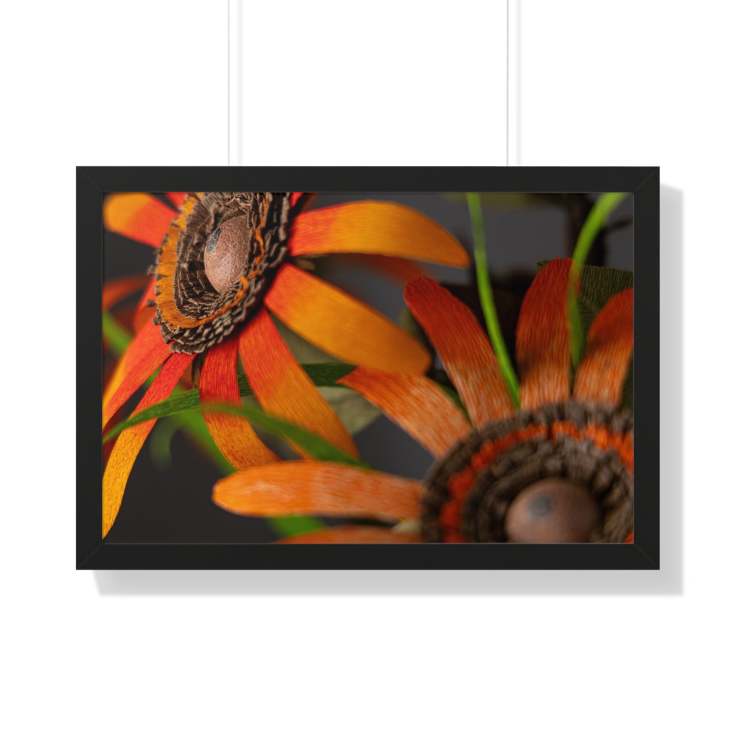 Poster Print - Mango Orange Black-Eyed Susans