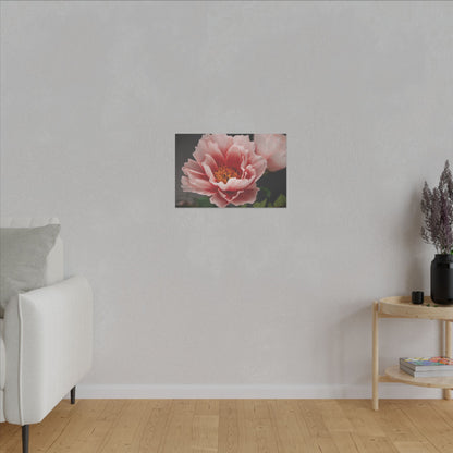 Canvas Print - Vibrant Pink Peonies