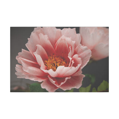 Canvas Print - Vibrant Pink Peonies