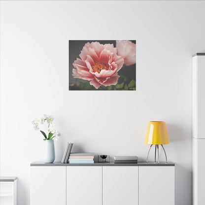 Canvas Print - Vibrant Pink Peonies