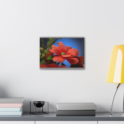 Canvas Art - Anemone in Dashing Red Colors, Handcrafted with Crepe Paper