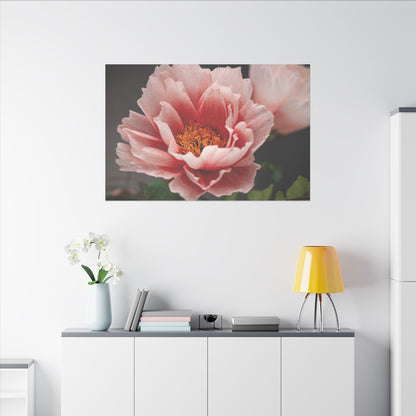 Canvas Print - Vibrant Pink Peonies