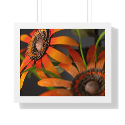 Poster Print - Mango Orange Black-Eyed Susans