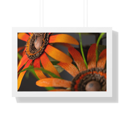 Poster Print - Mango Orange Black-Eyed Susans