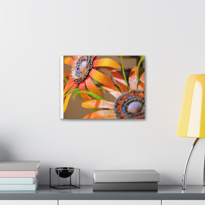 Canvas Stretched, Wall Art Orange Black Eyed Susan's Design