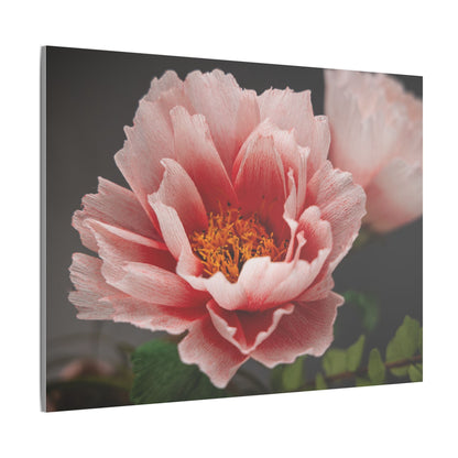 Canvas Print - Vibrant Pink Peonies