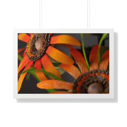 Poster Print - Mango Orange Black-Eyed Susans