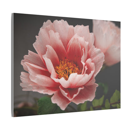 Canvas Print - Vibrant Pink Peonies