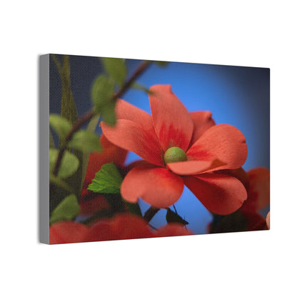 Canvas Art - Anemone in Dashing Red Colors, Handcrafted with Crepe Paper