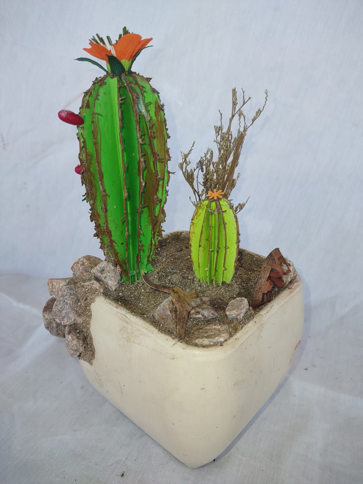 Cacti Surrounded by Water