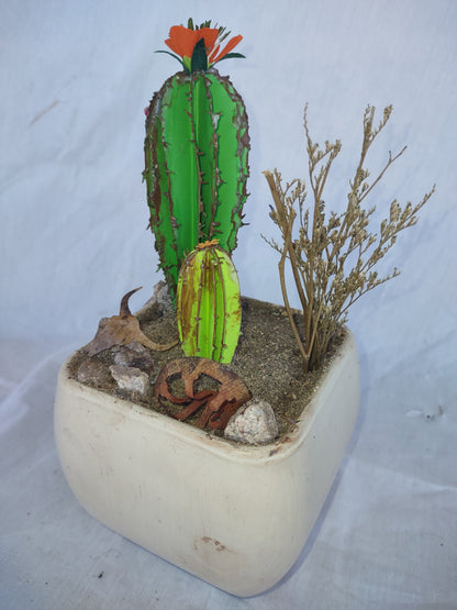 Cacti Surrounded by Water