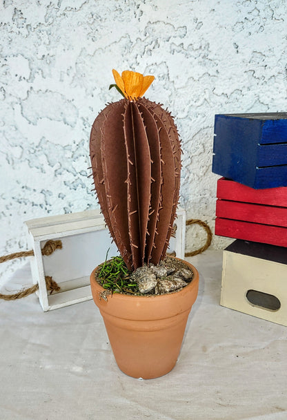 Cacti Desert Blooms 4 colors to choose from