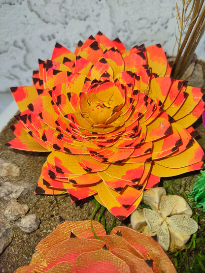 Bowl of succulent colors