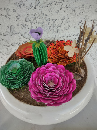 Bowl of succulent colors