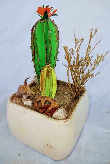 Desert Blooms Cacti w Crepe Paper flower.