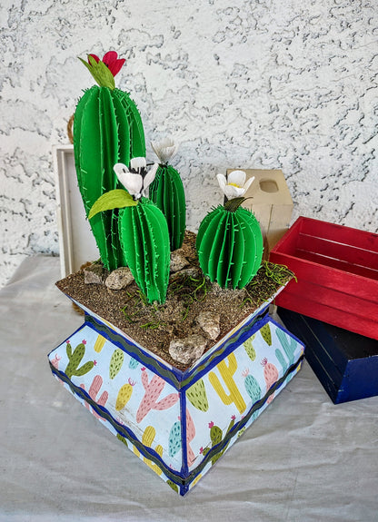 Cacti Desert Blooms