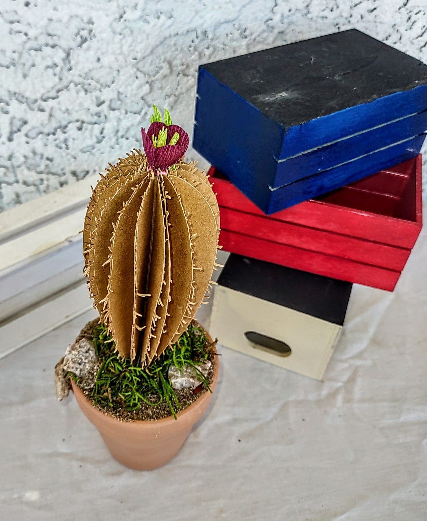 Cacti Desert Blooms 4 colors to choose from