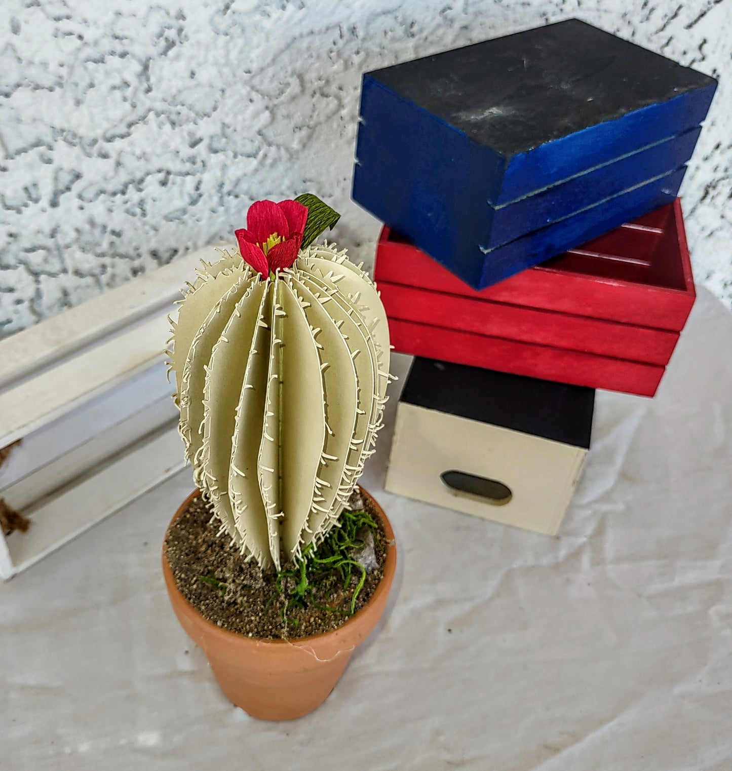 Cacti Desert Blooms 4 colors to choose from