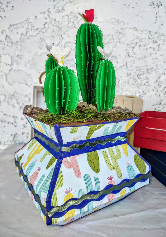 Cacti Desert Blooms