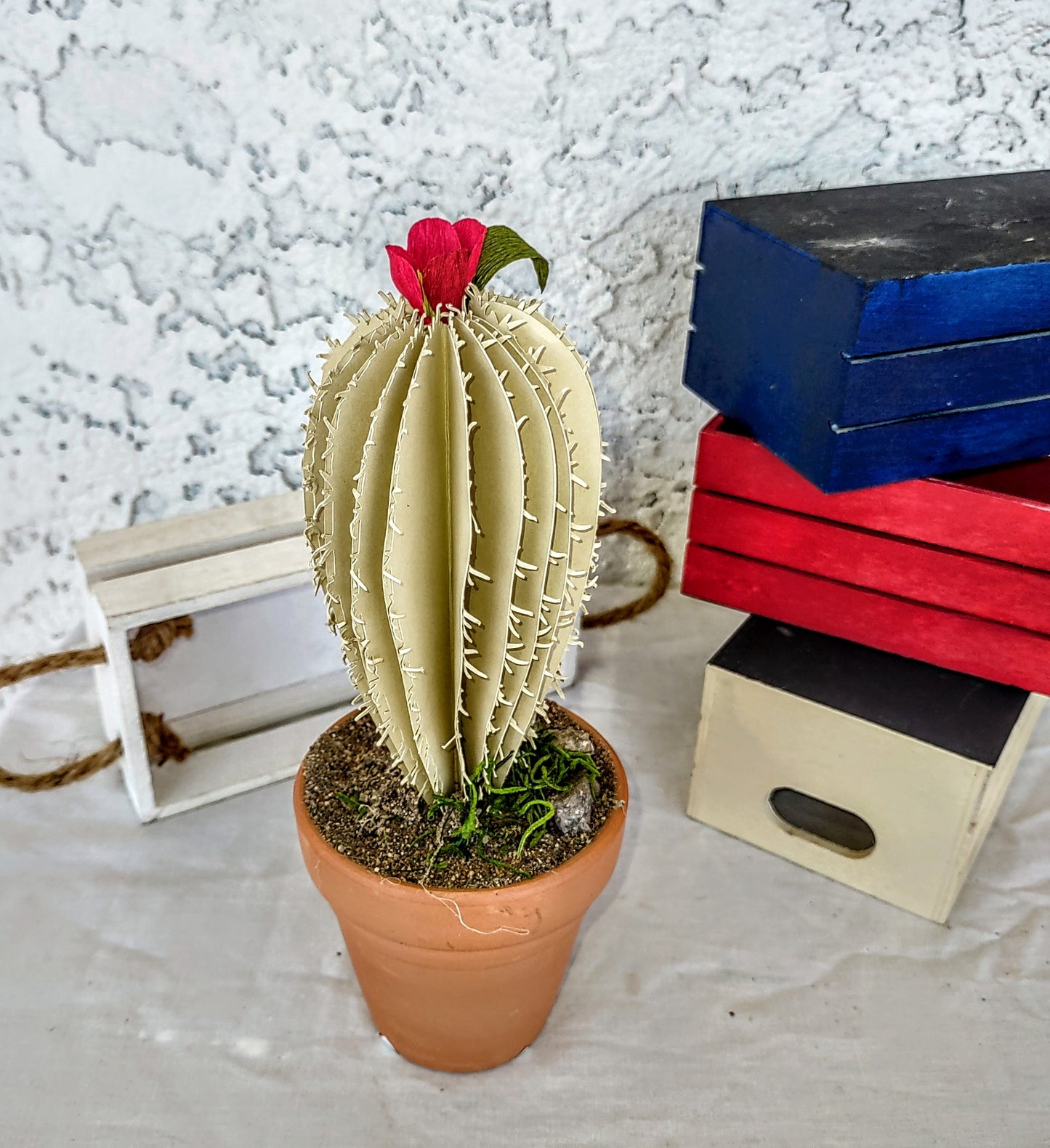 Cacti Desert Blooms 4 colors to choose from